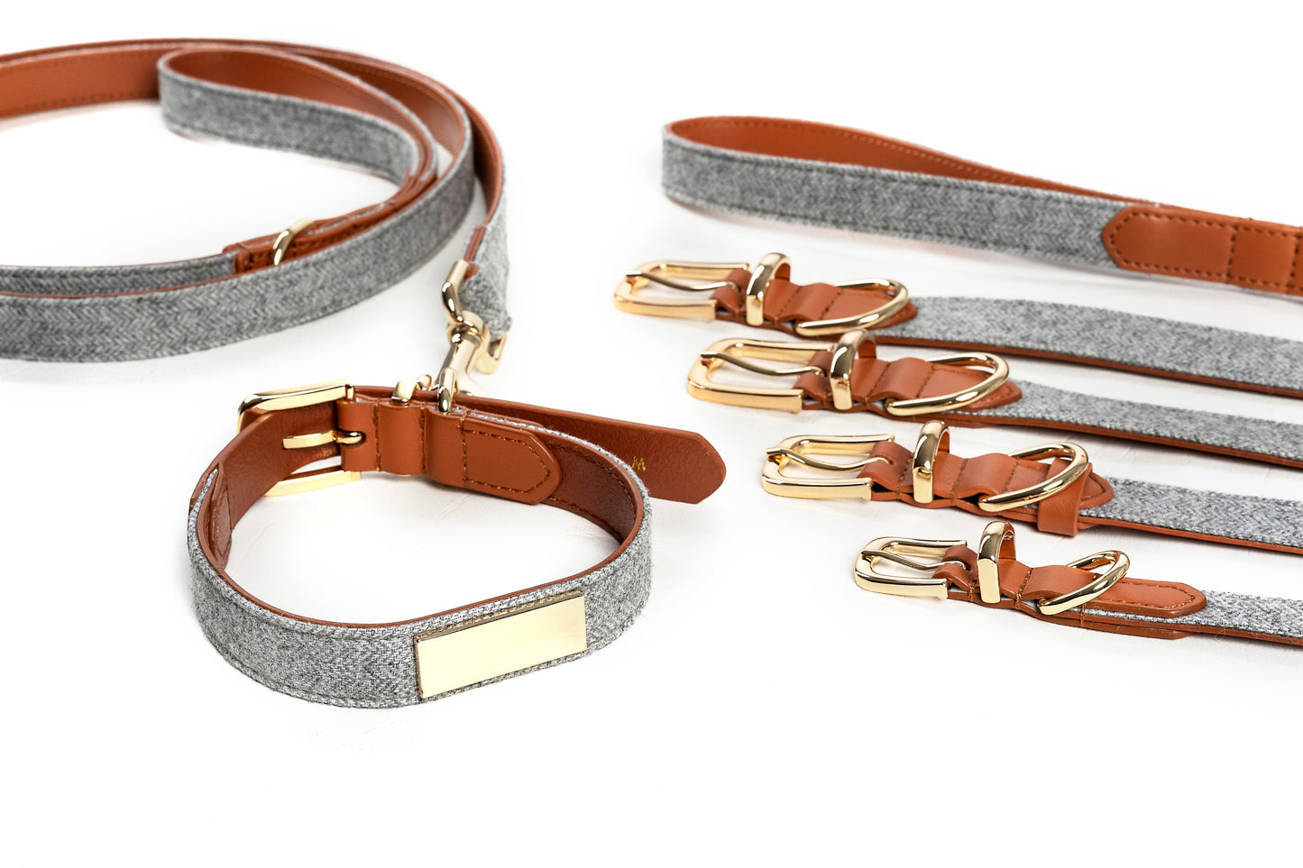 Milo Collar