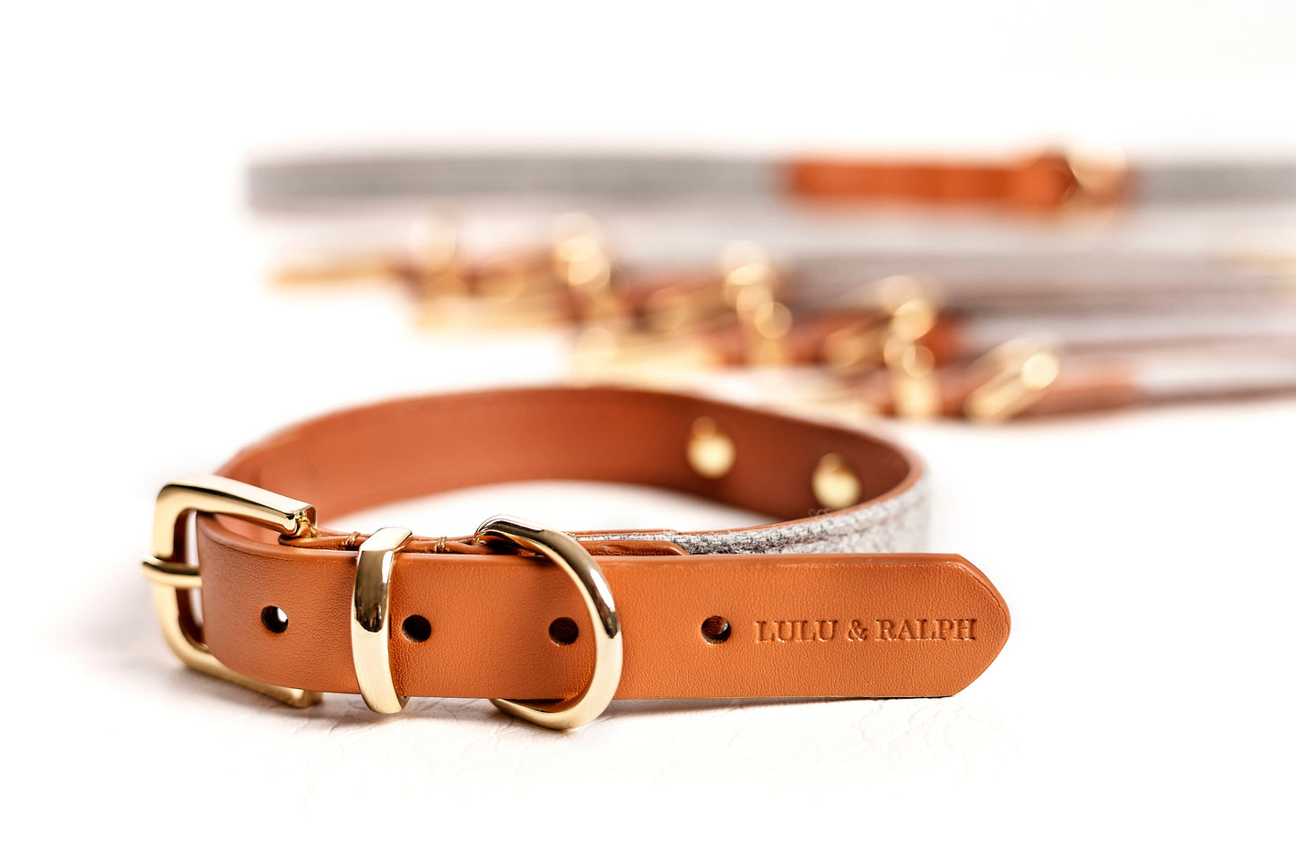 Milo Collar