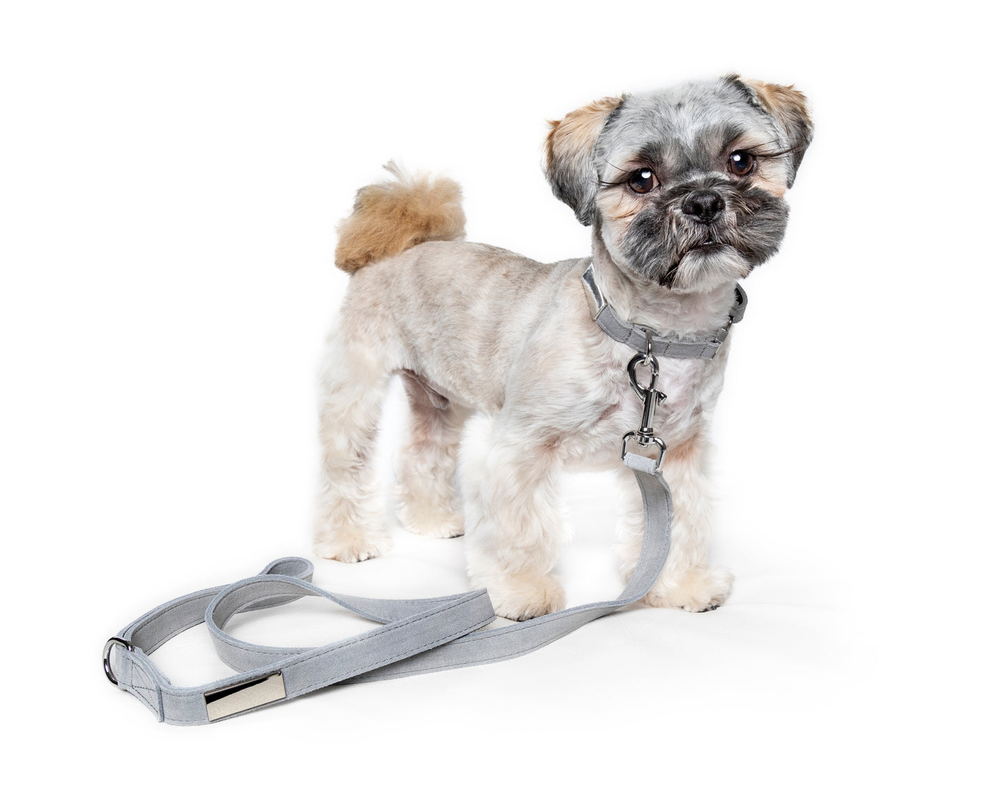 Nala Leash