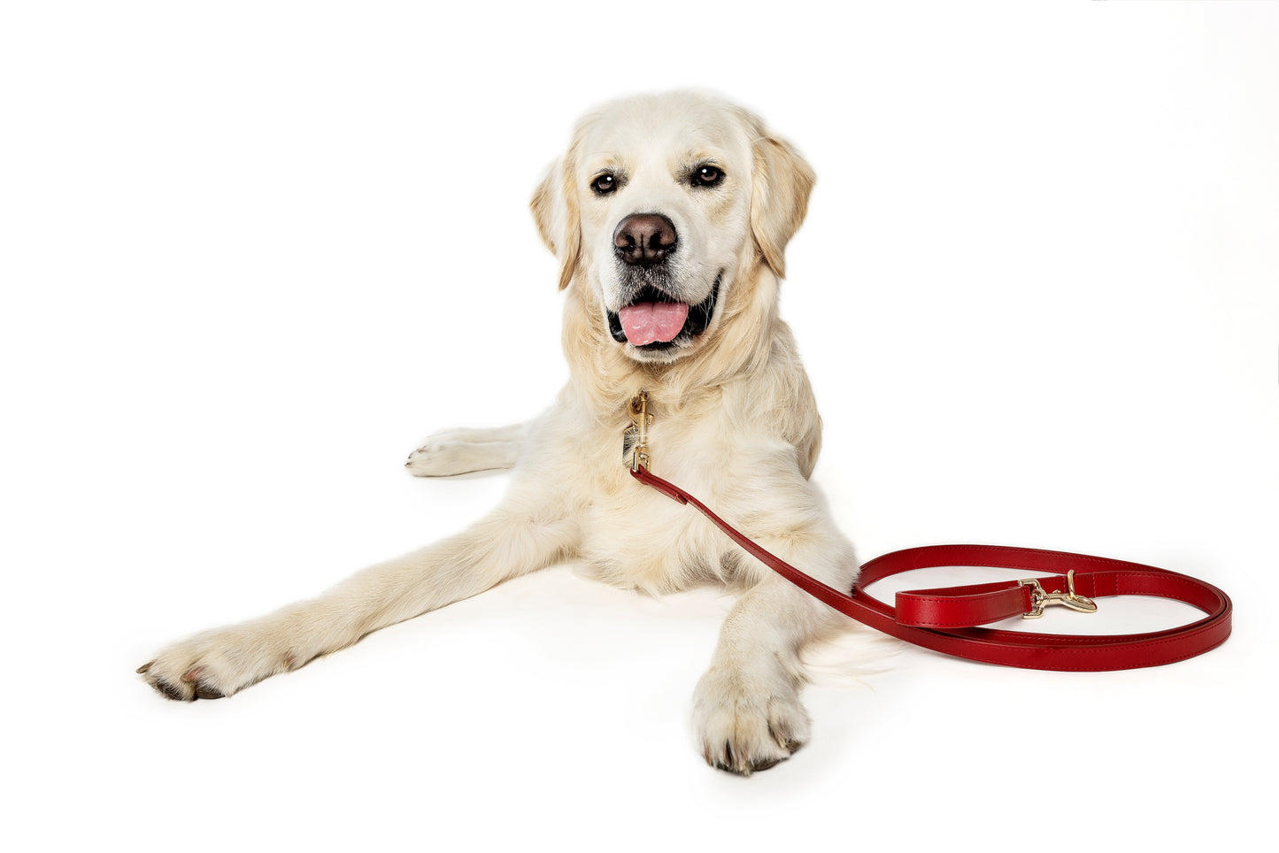 Frankie Leash