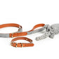 Milo Collar