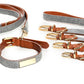 Milo Leash