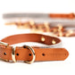 Milo Collar