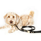 Bella Leash