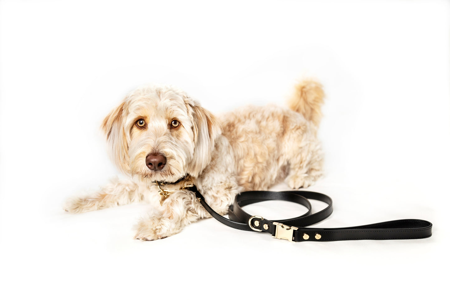 Bella Leash