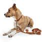 Nala Collar