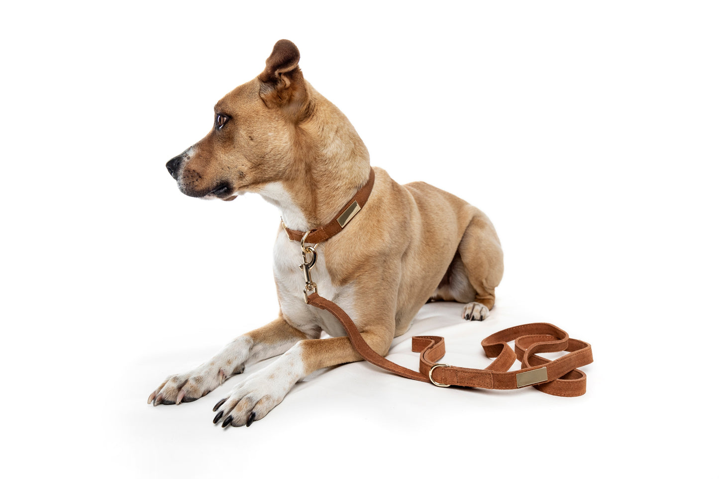 Nala Collar