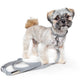 Nala Leash