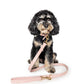 Frankie Leash