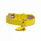 Frankie Collar