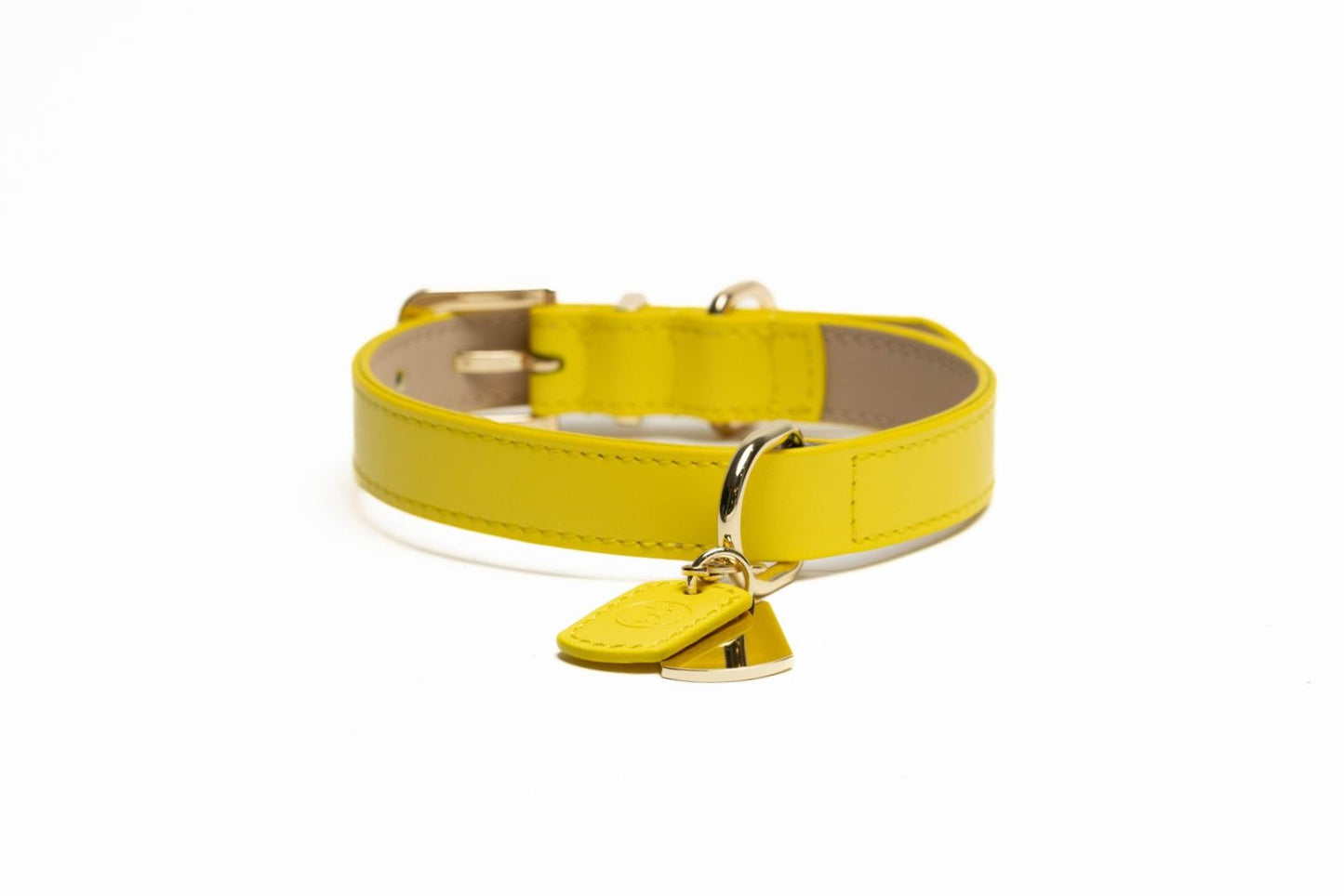 Frankie Collar